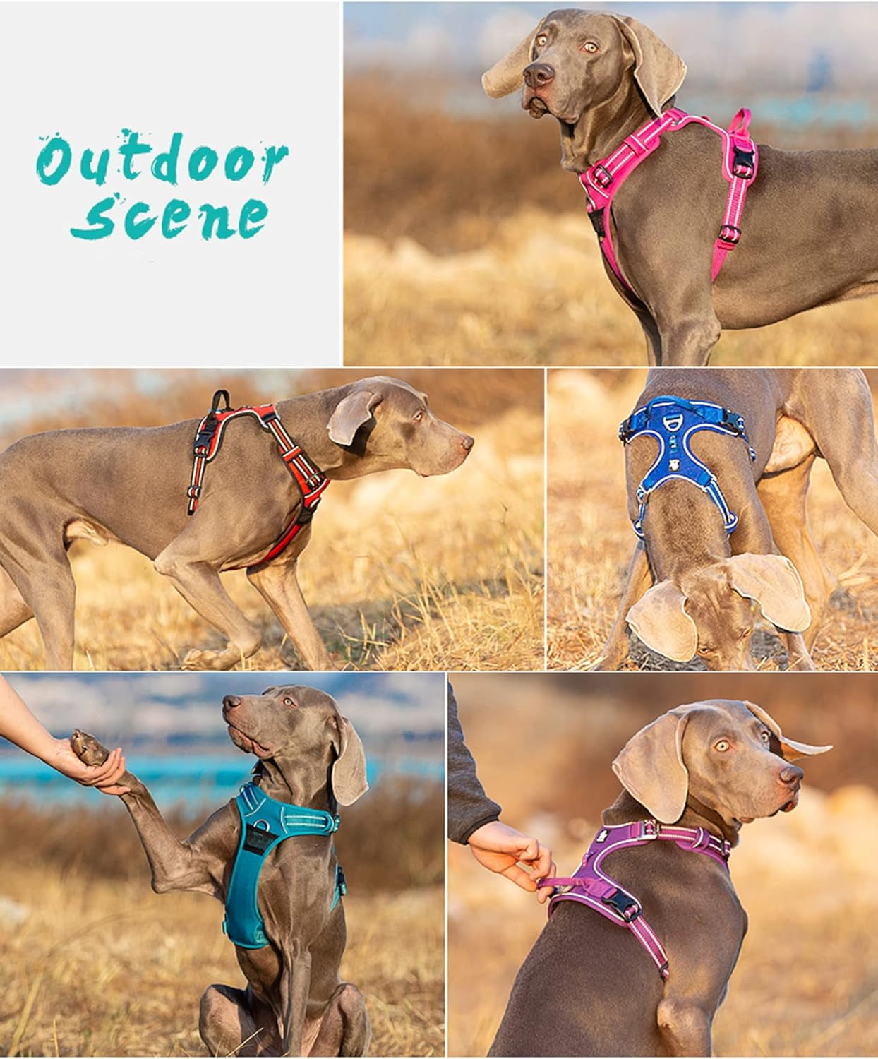 Dog Harness No Pull Nylon Reflective Pet Harness Adjustable Comfortable Control Step-In Brilliant Colors Truelove TLH56512