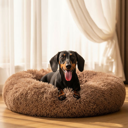 CalmPup Bed