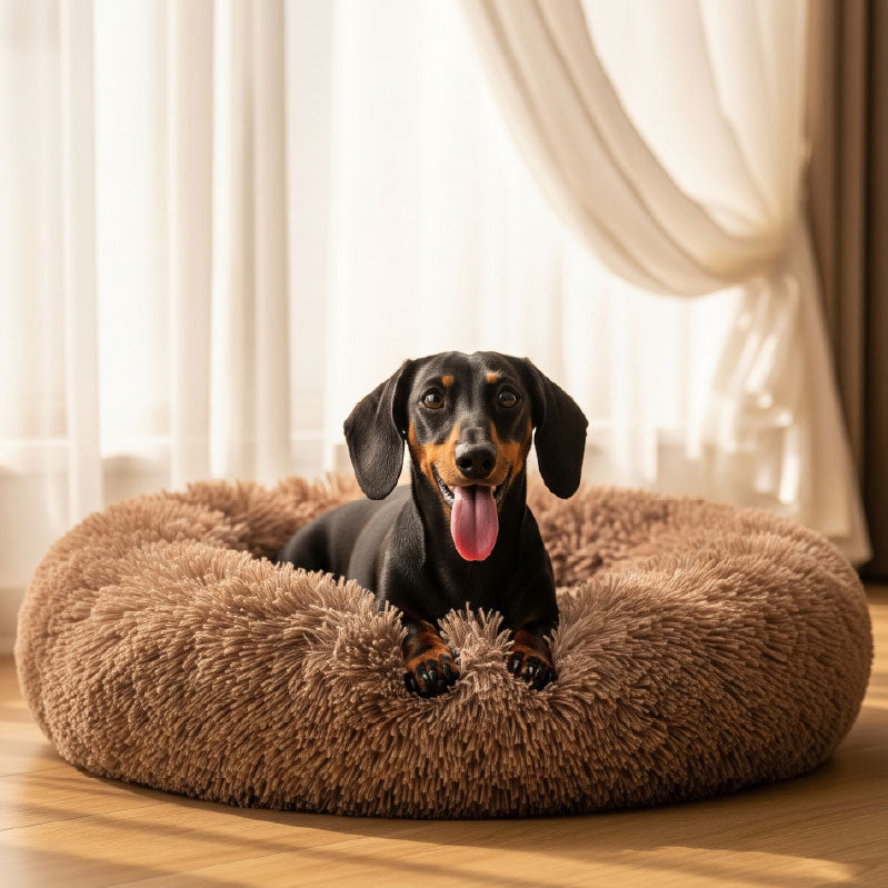 CalmPup Bed