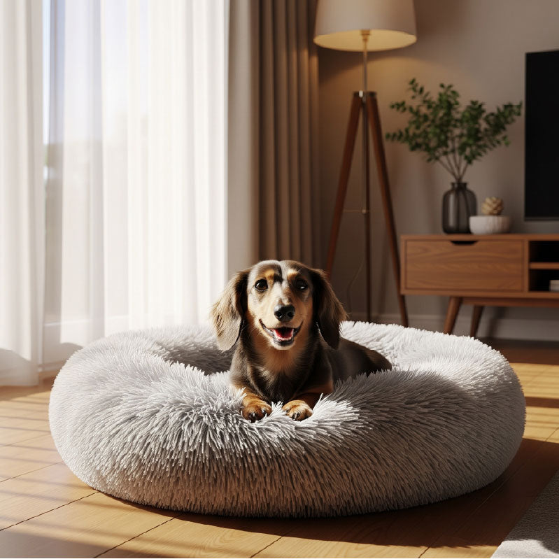 CalmPup Bed