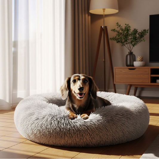 CalmPup Bed