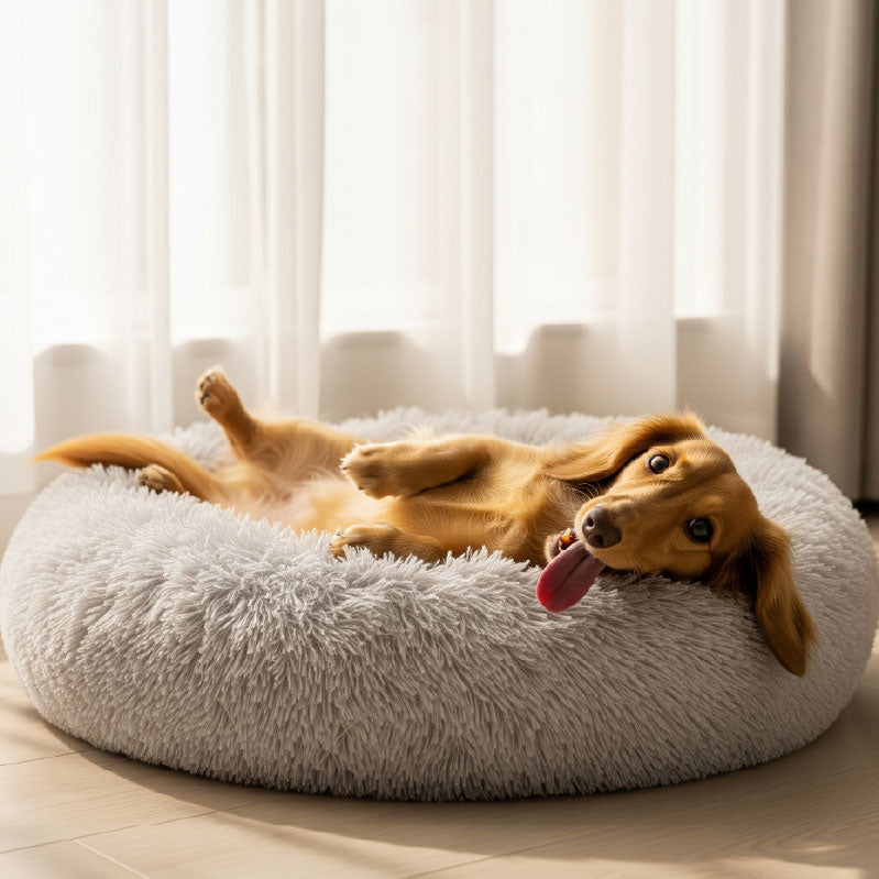 CalmPup Bed