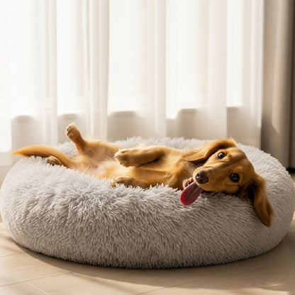 CalmPup Bed